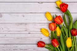 Yellow and red tulips on a light wooden background. Background with a place for text