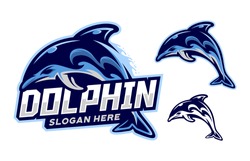 set of dolphin logo mascot vector illustration
