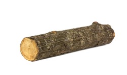 Wooden hornbeam log isolated on white background close up