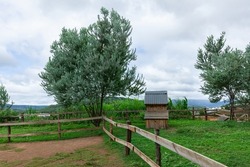 Farm with wooden fence, shade umbrella and green grass