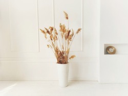on a white background loft interior stands a white floor phase with dried flowers and next to a mirror in a golden frame 