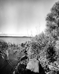 Lake in the autumn - This black and white camera obscura photo is NOT sharp due to camera characteristic. Taken on film with a pinhole camera