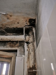 mold in the corner of bathroom. Damaged old cast iron, sewage pipe and mildew on the wall
