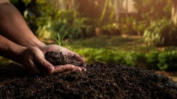 closeup hand of person holding abundance soil with young plant. Concept green world earth day