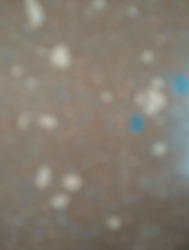 Defocused abstract background of gray and white colors
