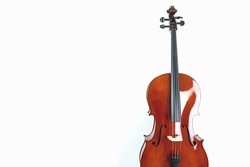 Mahogany cello on a white background.