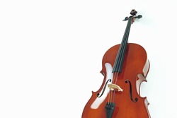 Mahogany cello on a white background.	