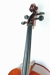 Mahogany cello on a white background.	