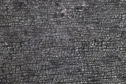 Burned wood surface texture. Black background , grunge