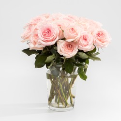 Rose White Pink O'hara. Rose White Pink O'hara. Bouquet of pink roses are in a glass vase. Copy space