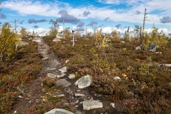 Swamp or lake with megalithic seid boulder stones, dead trees in nature reserve on mountain Vottovaara, Karelia, Russia. Autumn in montain