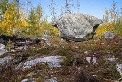Megalithic seid boulder stones, dead trees in the nature reserve on mountain Vottovaara, Karelia, Russia. Autumn in mountain