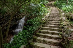 mountain trail hidden in the bamboo forest, and little stream next to the trail,in Yangmingshan National Park, Taipei, Taiwan,