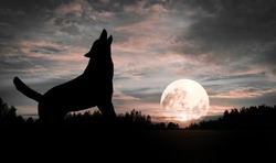 Wolf howling at the Moon
