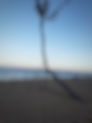 Defocused abstract background of a bent coconut tree in the sandy beach in summer season