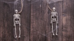 two human skeletons on a wooden background with a place for text, a Halloween concept and an invitation to a holiday