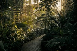 Atlanta Botanical Garden July 2022