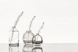 Glass vases with branches on a white background