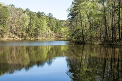 The summer green trees and the lake at San-Lee Park in Sanford North Carolina