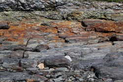 Northeast seacoast ocean-side cliff of metamorphic and layered sedimentary rock iron deposit