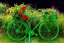 green bicycle decorated with flowers in a basket