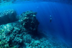 Free diver dive in ocean, underwater view with rocks and corals