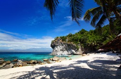 White sandy beach and palm trees in a blue tropical lagoon. Apo island, Philippines