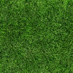 Green grass seamless texture. Seamless in only horizontal dimension.