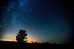 Starry sky and summer meadow with tree. High level of noise
