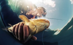 Underwater shot of the fisherman holding the fish