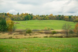 A New England field landscape that includes trees changing colors as summer turns to fall