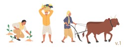 Indian farmer male character set, vector flat isolated illustration. People ploughing field with ox before sowing, planting and harvesting fruit. Indian farming industry.