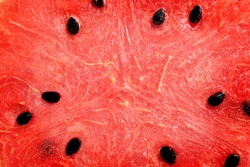 close up inside of watermelon, red surface with black seeds have copy space for put text