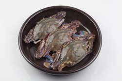 The body of blue crab is black purple with blue patterns, and the carapace is diamond-shaped. The claws are large and long, and the rest of the feet are all broad.