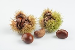 the fruit of the chestnut tree. It is wrapped in a bunch of thorns and has a thin, astringent inner skin inside the brown outer skin. It is eaten raw, grilled, or boiled.