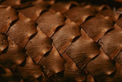 close up of a natural fir cone texture, brown natural background, daylight, autumn colours, pinecone pattern