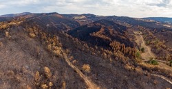 Aerial view of an area burnt by fire. Forests and fields of crops destroyed by fire. Natural disaster, destroyed area. Navarre, Spain.