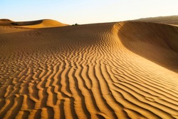 Desert dune desert at sunset 