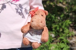 Toy in the hands of an unrecognizable child in nature. Hobby. A little girl is holding a hippopotamus in her hands. Teddy toy in nature. The photo shows a child's hand with a toy.