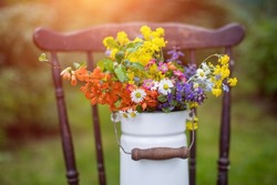 bouquet of spring, field flowers in a rustic atmosphere in a milk jug on an old chair in the garden in the sunshine, rural atmosphere
