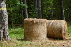Country landscape with straw stack. High quality photo