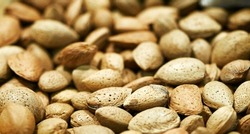 Tasty fresh almond nuts, background, texture. Selective focus. High quality photo