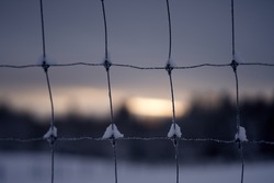 Fine metal fence on the background of sunset , protection and security detail. High quality photo