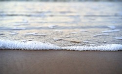 Close up of sea foam and wet sand. Botanical selective focus. High quality photo