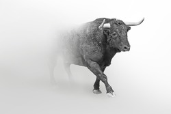 Bull wildlife art collection white edition, animal grayscale wallpaper