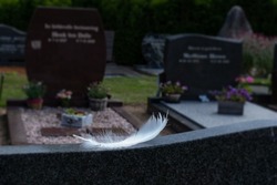 A white feather lies on a black marble tombstone. The tombstones in the background are blurred.
