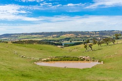 Panoramic landscape of countryside in South Australia