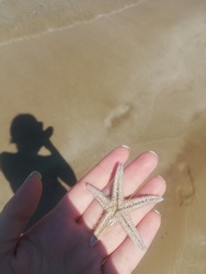 Starfish or sea star on the beach with sea background in Cyprus nature. Star-shaped echinoderm on hand. Asteroidea. Teaching nature. Dead marine animal on the shore of the beach. Woman silhoutte.