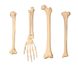 orthopedics hand arm