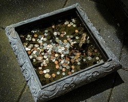 Stone wishing well full of gold, silver and bronze coins from many countries, covered with green water.